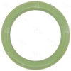 Four Seasons O-RING-GREEN 10 PACK 24642